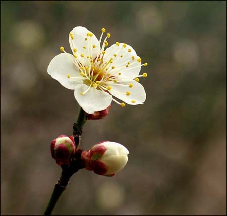 ����ũ��� ����